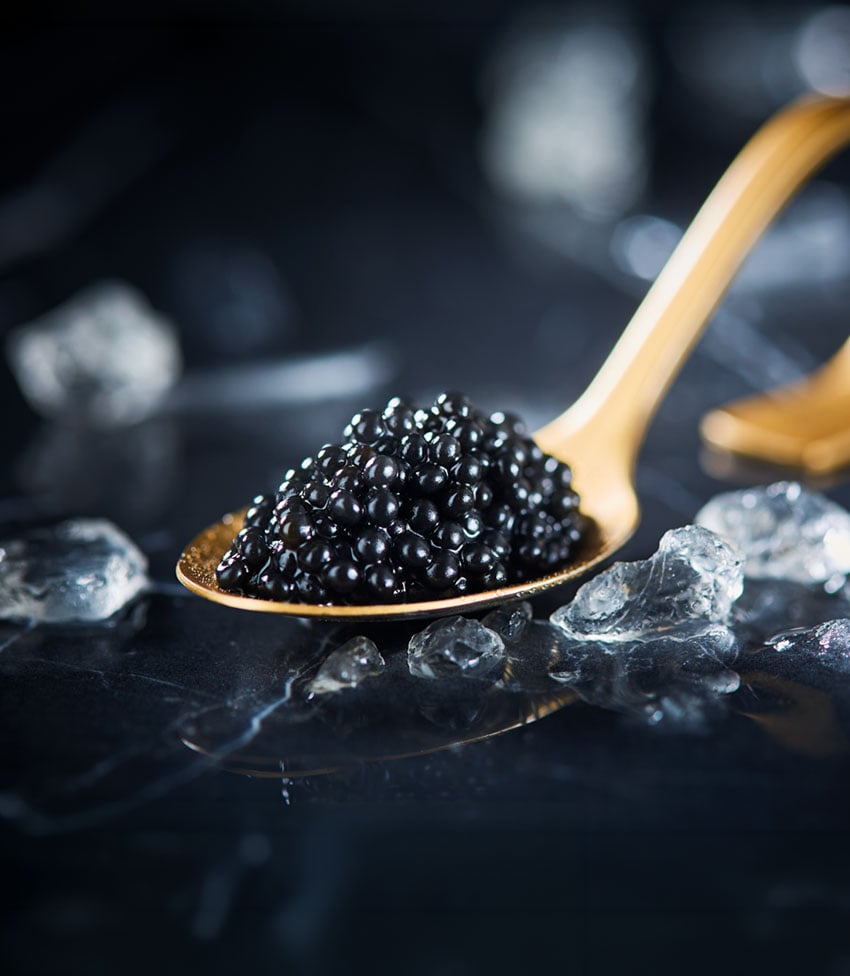 grains-intense850x976